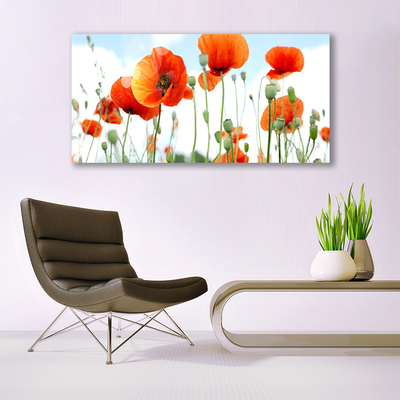 Glasbild aus Plexiglas® Mohnblumen Pflanzen