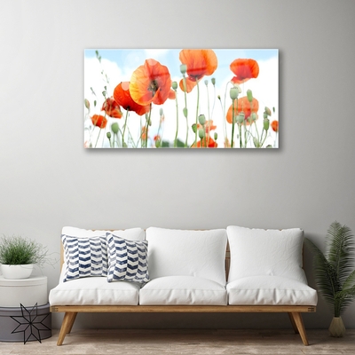 Glasbild aus Plexiglas® Mohnblumen Pflanzen