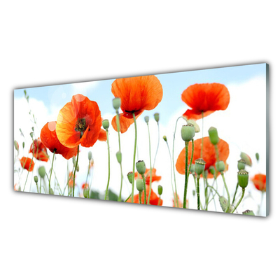 Glasbild aus Plexiglas® Mohnblumen Pflanzen