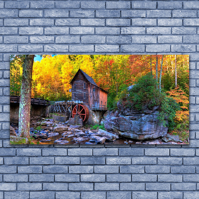 Glasbild aus Plexiglas® Wald Steine Natur