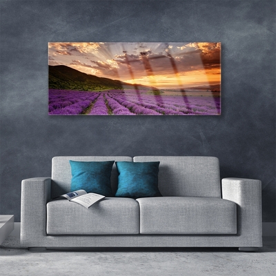 Glasbild aus Plexiglas® Gebirge Wiese Blumen Landschaft