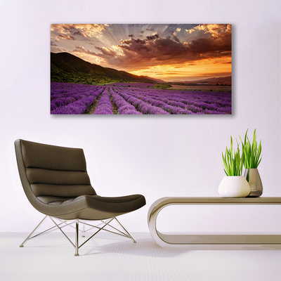 Glasbild aus Plexiglas® Gebirge Wiese Blumen Landschaft