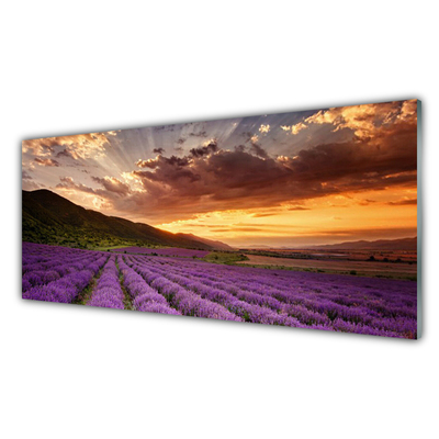 Glasbild aus Plexiglas® Gebirge Wiese Blumen Landschaft