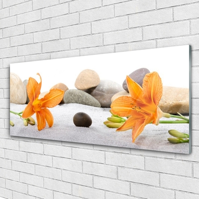 Glasbild aus Plexiglas® Blumen Steine Pflanzen