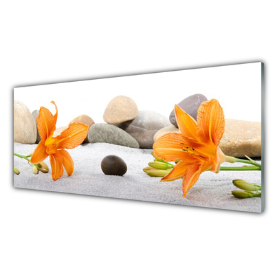 Glasbild aus Plexiglas® Blumen Steine Pflanzen