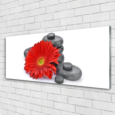 Glasbild aus Plexiglas® Blume Steine Pflanzen