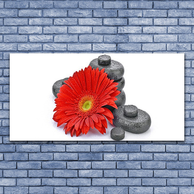 Glasbild aus Plexiglas® Blume Steine Pflanzen