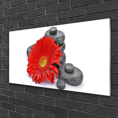 Glasbild aus Plexiglas® Blume Steine Pflanzen