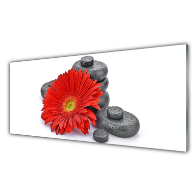 Glasbild aus Plexiglas® Blume Steine Pflanzen