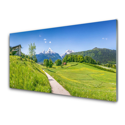 Glasbild aus Plexiglas® Wiese Fußpfad Natur