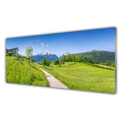 Glasbild aus Plexiglas® Wiese Fußpfad Natur