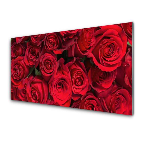 Glasbild aus Plexiglas® Rosen Pflanzen