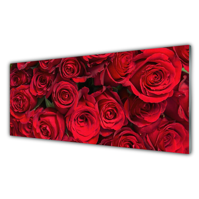 Glasbild aus Plexiglas® Rosen Pflanzen