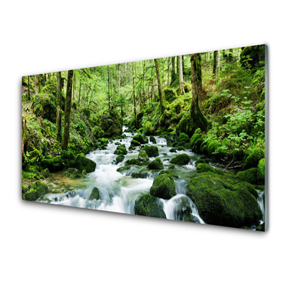 Glasbild aus Plexiglas® Wald See Steine Natur
