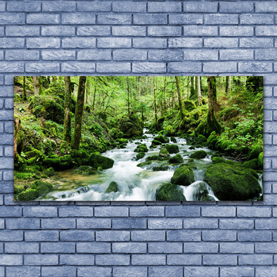 Glasbild aus Plexiglas® Wald See Steine Natur