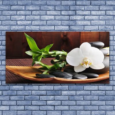 Glasbild aus Plexiglas® Blume Bambusrohr Steine Kunst