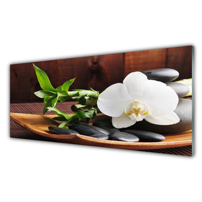 Glasbild aus Plexiglas® Blume Bambusrohr Steine Kunst