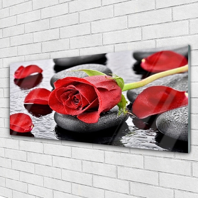 Glasbild aus Plexiglas® Rose Steine Pflanzen