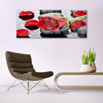 Glasbild aus Plexiglas® Rose Steine Pflanzen