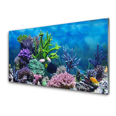 Tulup Glasbilder Wandbild Dekobild 100x50 Korallenriff Unterwasser Fische Natur 