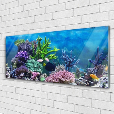 Glasbild aus Plexiglas® Korallenriff Natur