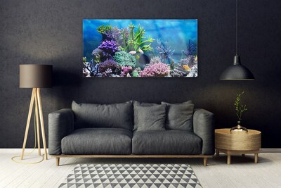 Glasbild aus Plexiglas® Korallenriff Natur