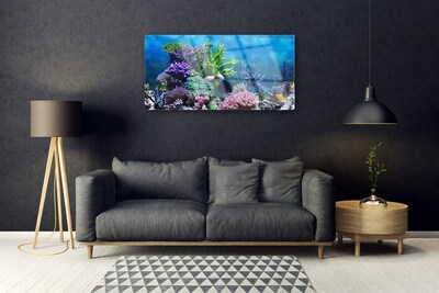 Glasbild aus Plexiglas® Korallenriff Natur