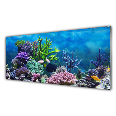 Glasbild aus Plexiglas® Korallenriff Natur