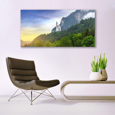 Glasbild aus Plexiglas® Wald Gebirge Landschaft