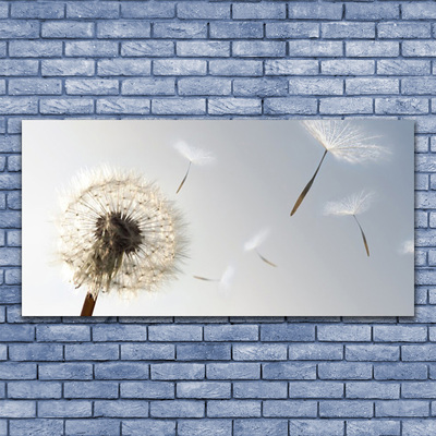 Glasbild aus Plexiglas® Pusteblume Pflanzen