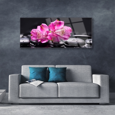 Glasbild aus Plexiglas® Blumen Steine Pflanzen