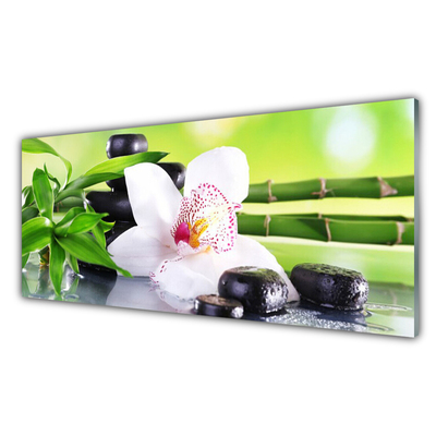 Glasbild aus Plexiglas® Bambusrohre Blume Steine Pflanzen