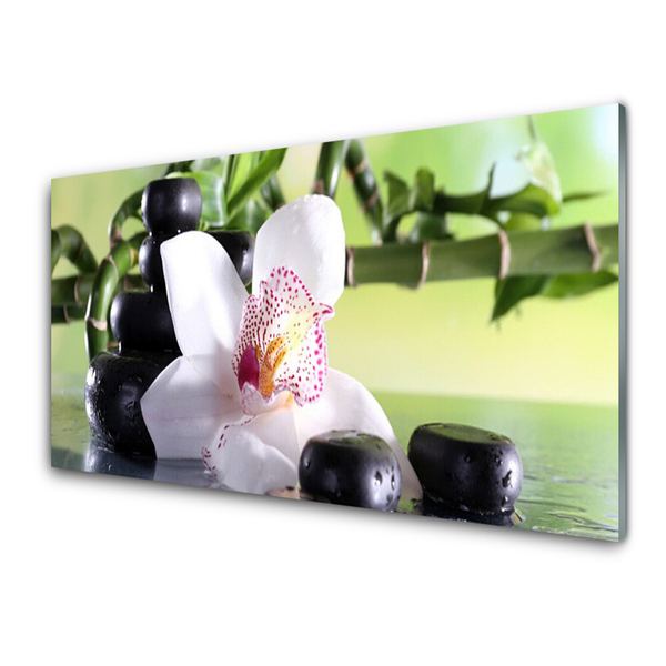 Glasbild aus Plexiglas® Bambusrohr Blume Steine Pflanzen