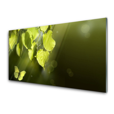 Glasbild aus Plexiglas® Schmetterling Blätter Natur