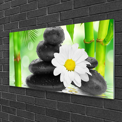 Glasbild aus Plexiglas® Bambusrohre Blume Steine Kunst