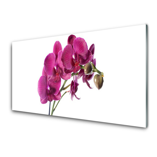 Glasbild aus Plexiglas® Blumen Pflanzen