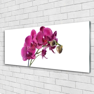 Glasbild aus Plexiglas® Blumen Pflanzen