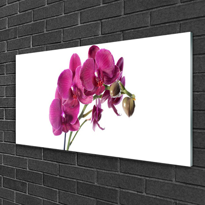 Glasbild aus Plexiglas® Blumen Pflanzen