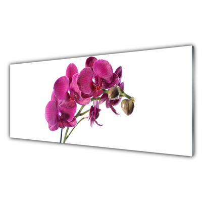 Glasbild aus Plexiglas® Blumen Pflanzen