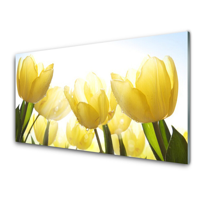 Glasbild aus Plexiglas® Tulpen Pflanzen