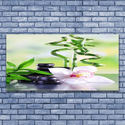 Glasbild aus Plexiglas® Bambusrohre Blume Steine Pflanzen