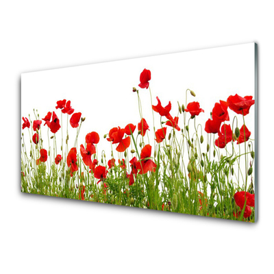 Glasbild aus Plexiglas® Wiese Mohnblumen Natur