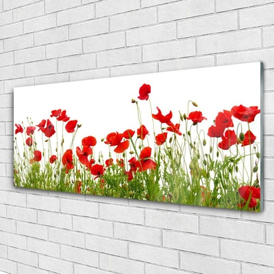 Glasbild aus Plexiglas® Wiese Mohnblumen Natur