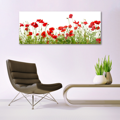 Glasbild aus Plexiglas® Wiese Mohnblumen Natur