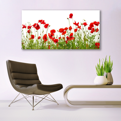 Glasbild aus Plexiglas® Wiese Mohnblumen Natur