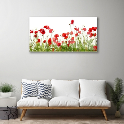 Glasbild aus Plexiglas® Wiese Mohnblumen Natur