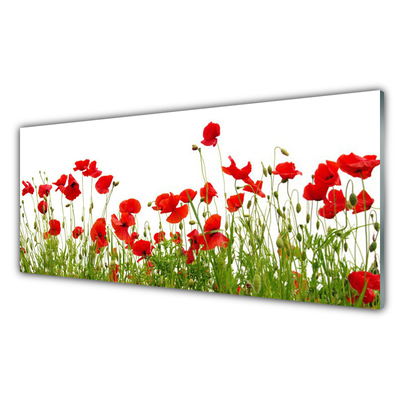 Glasbild aus Plexiglas® Wiese Mohnblumen Natur