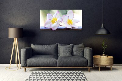 Glasbild aus Plexiglas® Blumen Pflanzen