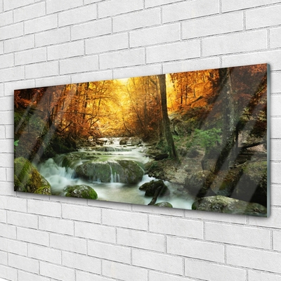 Glasbild aus Plexiglas® Wasserfall Wald Steine Natur