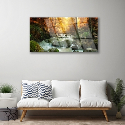 Glasbild aus Plexiglas® Wasserfall Wald Steine Natur